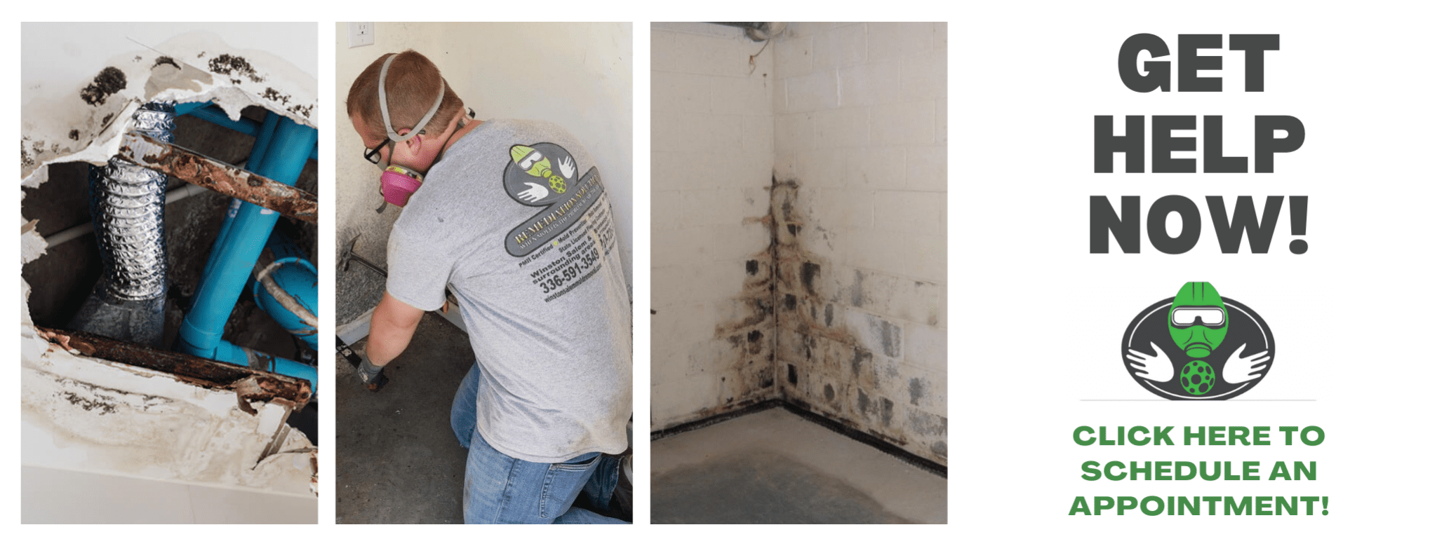 Mold And Mildew Removal Services | Mold Remediation Company In North ...